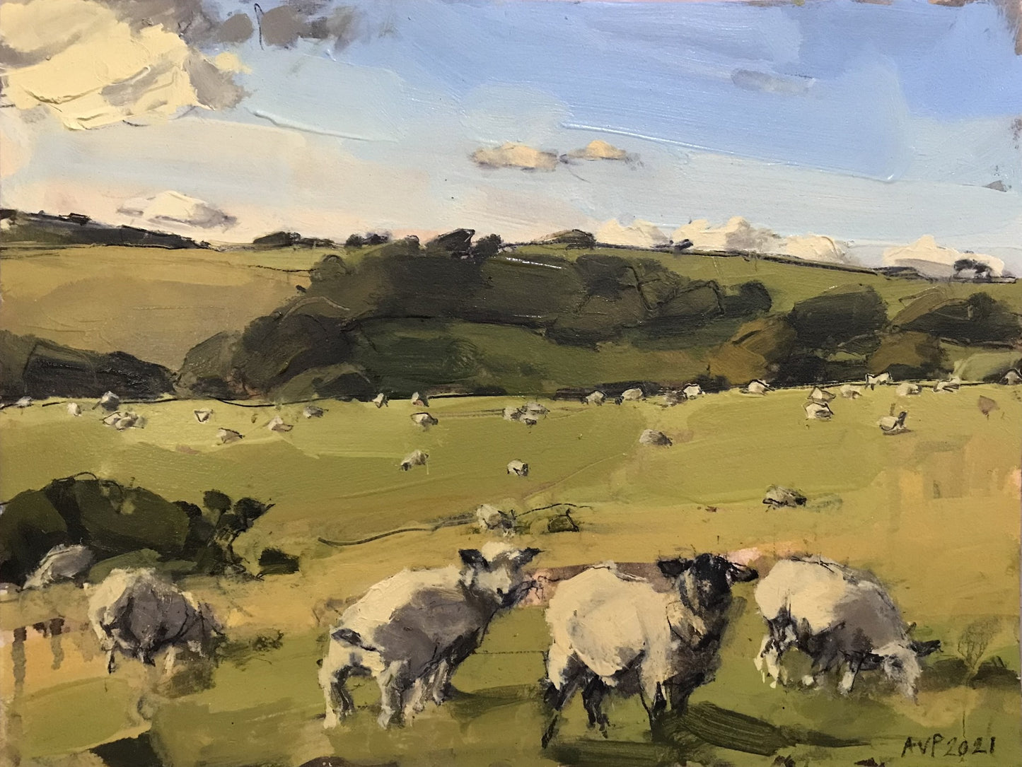 Sheep, South Downs, October II