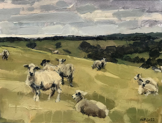 Sheep, South Downs, last day of June II