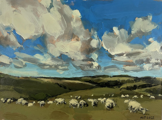 Sheep, South Downs, July II